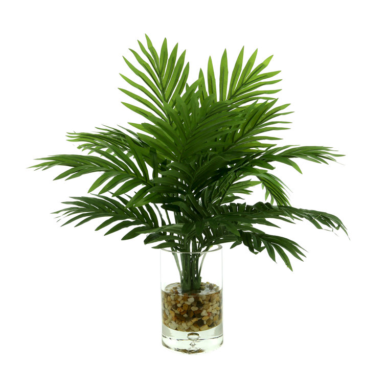Primrue Rockwood 22'' Faux Palm Plant in Glass Vase Wayfair Canada